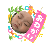 870827556