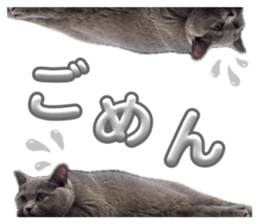 870860845