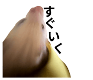 870869900