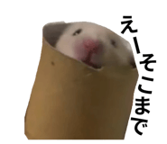 870869906