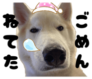 870889417