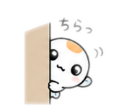 870889479
