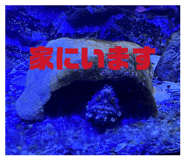 870933787