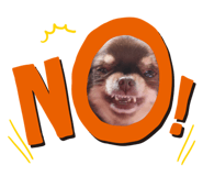871007814