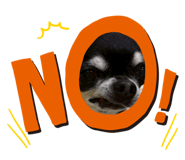 871076496