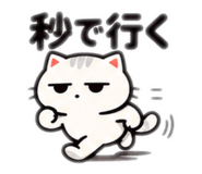 871078819