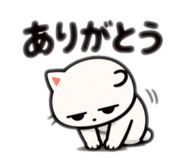 871078825