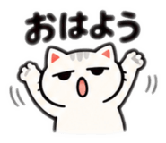 871078828