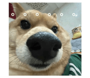 871129326