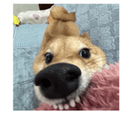 871129327