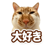 871143753