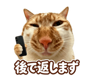 871143764