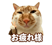 871143765