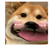 871149009