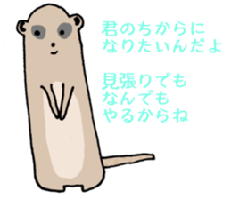 8711527