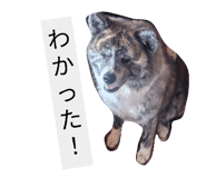 871160921