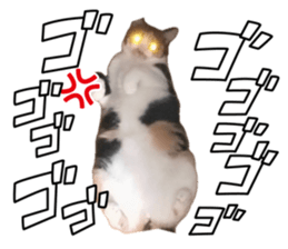 871163936