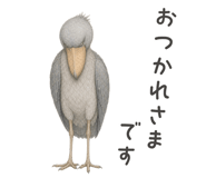 871208850