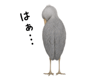 871208864
