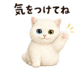 871209978