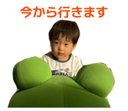871221977