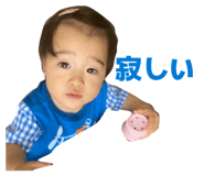 871222004