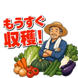 871222972