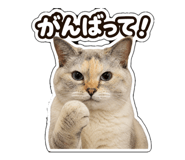871227431
