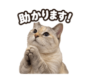 871227434