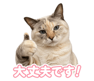 871227444