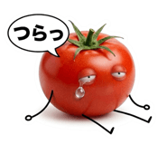 871243743
