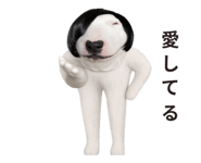 871245154