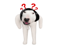 871245162