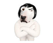 871245169