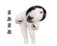871245172