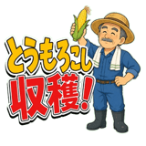 871259196