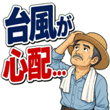 871259206