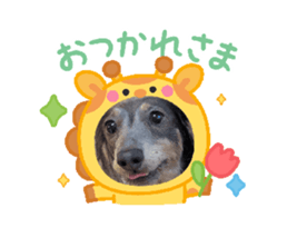 871289203