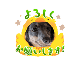 871289204