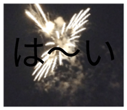 871301441