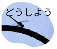 871301449