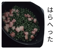 871301455