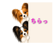871337844