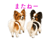 871337855