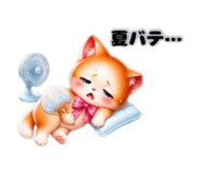 871350214