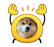 871394336