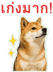 871417502