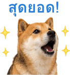 871417508