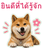 871417510