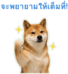 871417515